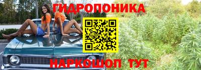 spice Лесосибирск