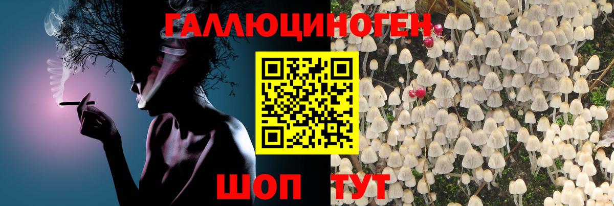 Галлюциногенные грибы прущие грибы  Вход с VPN  Тосно 